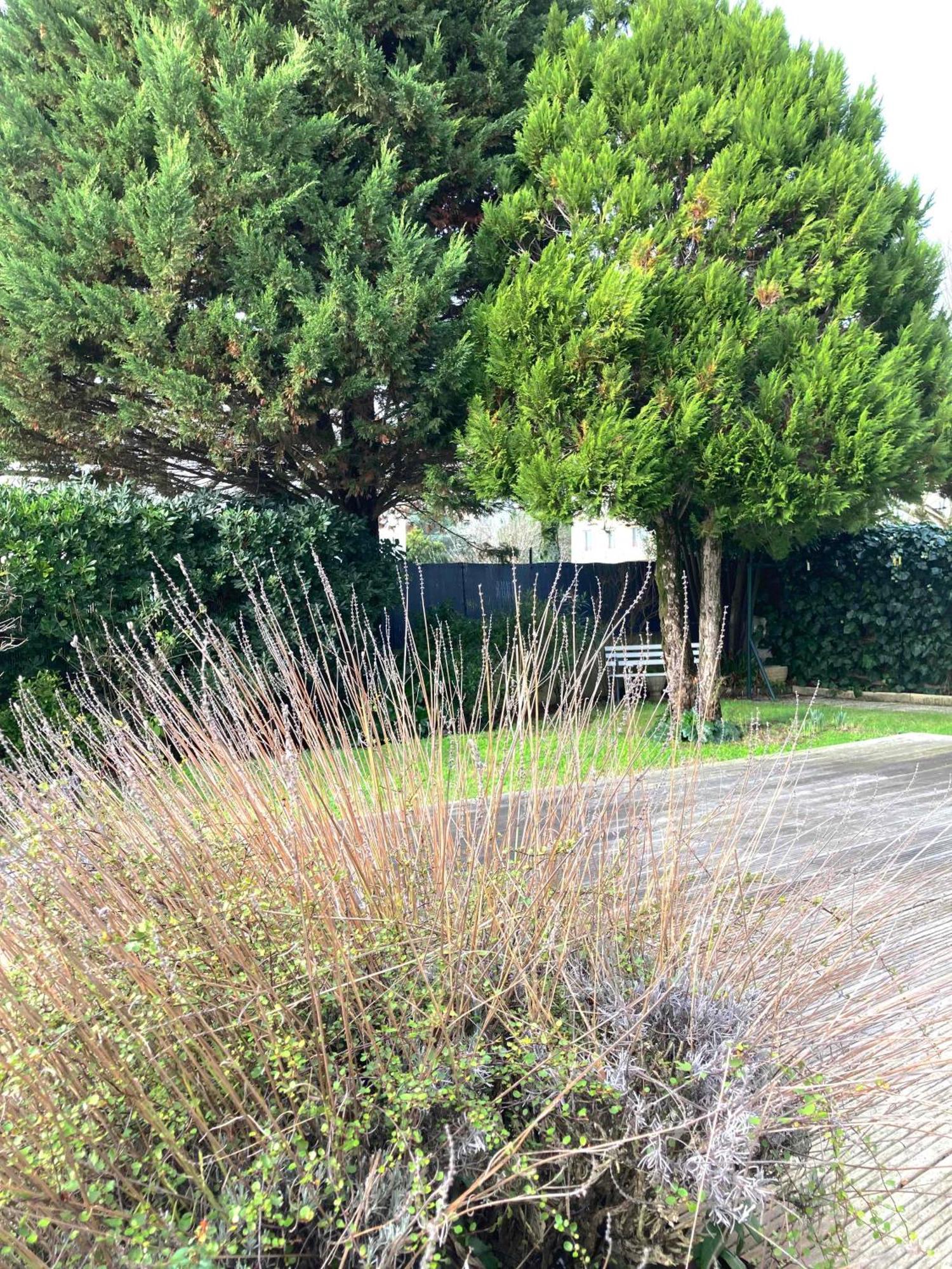 Maison Centre Ville Avec Jardin , Terrasse, Et Garage Velos ลาโรแชล ภายนอก รูปภาพ