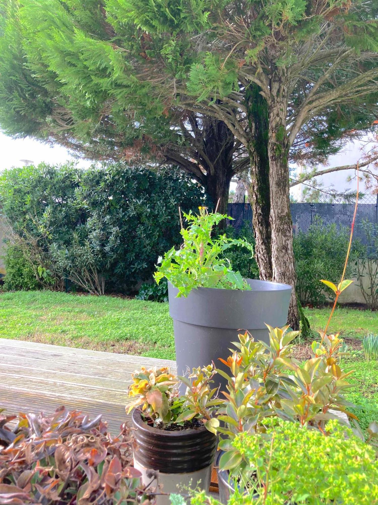 Maison Centre Ville Avec Jardin , Terrasse, Et Garage Velos ลาโรแชล ภายนอก รูปภาพ